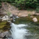 솔향기 가득한 펜션 이미지