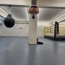 스타복싱클럽 이미지