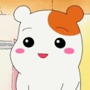 엄카