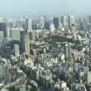Sky View(스카이뷰) Daum카페