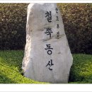 철쭉동산 Daum카페