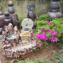 은행나무민박 이미지