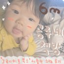 공주네 | 역북동 공주네책방 '그레이트북스 체험팩' 수령 후기(베이비빌리 0원딜 당첨)