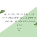 하나님의 교회 영상설교-좋은 나무에 좋은 열매 이미지