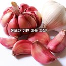 돈보다 귀한 마늘 껍질 이미지