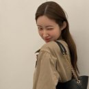댕댕이꺼 네이버블로그