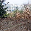 대구복명초등학교 이미지