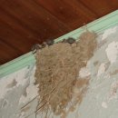 장안마을회관 이미지