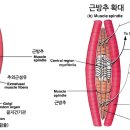 F4GYM(에프포짐) 이미지