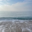 멈무아지트 | [제주 라이프] 제주도 게하스텝 23, 24주차 | 조천 | 1100고지 습지 | 혼인지 | 안녕 마요피