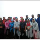 괴목민박 이미지