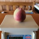 (주)알로젠 이미지