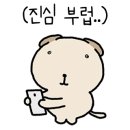 카페세솔