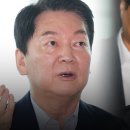 안철수 &#34;한미 관세 협상, 한덕수 맡겼으면 일본보다 낮출 수 있었을 것…탄핵시킨 민주당 책임&#34;﻿ 이미지