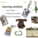 키링 위시리스트 | keyring wishlist