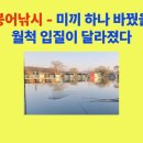 달월사계절 낚시터 네이버블로그
