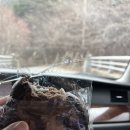 생태숲민박 이미지