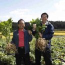 한율농원 이미지