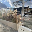 자기치아살리기드림플란트치과의원 이미지