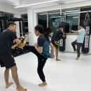 센텀강변 싸이코핏불스 이미지