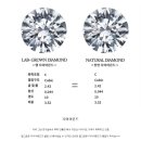 다이아랩 이미지