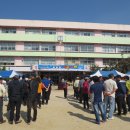 노량진초등학교 Daum카페
