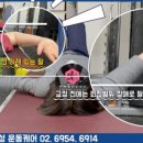 박제성 운동케어 CHI & FIT 퍼스널 트레이닝 이미지