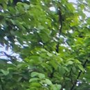 최우식노즈립성형외과의원 이미지