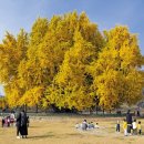 중앙동167 이미지