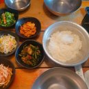 신씨네집