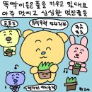 오늘은 수요일 내일은 목요일 모레는..! 이미지