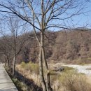 엘파로 펜션 | 산책길