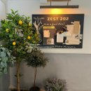ZEST 202