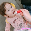 서울 호캉스 패키지 추천 :: 노보텔 엠베서더 동대문 수영장 레지던스 조식 후기