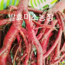 농촌치유농장노을