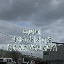 증평손짜장 네이버블로그