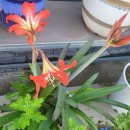 대촌경로당 이미지