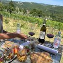 더 샾 민박 | Casale dello sparviero 토스카나 농가민박 아그리투리즈모 끼안띠 시에나