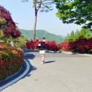 JS골프연습장