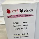 스마일댕댕 이미지