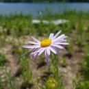 선암호수공원 아름다운 화장실 이미지