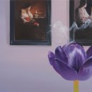 빛의 공간 이미지