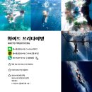 경남화이트 | 경남 창원 화이트프리다이빙 체험 다이빙 후기