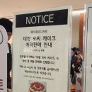 파이래드 | 잠실 롯데월드몰 4월 팝업, 새들러하우스, 벚꽃 버터떡, 피피베이커리, 왓어브레드, 슈글로우 등