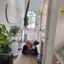 벨라 펫 살롱 이미지