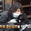 장정숙농장 티스토리