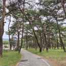 금진초입구