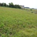 대정읍 다목적 회관 이미지