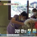 멍멍이와 야옹이 분양 미용 이미지