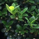 왕남초등학교 이미지